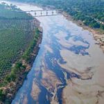 8-kilometros-de-rio-se-contaminan-por-un-derrame-de-petroleo-en-Veracruz