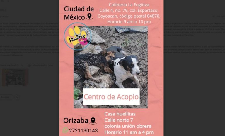 Captura-de-Pantalla-2025-10-20-a-las-15.46.40