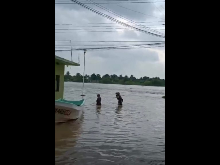 Polish_20251010_101924835