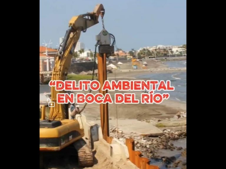 Polish_20251024_131932289