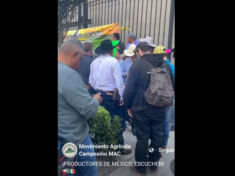 Polish_20251027_133620205