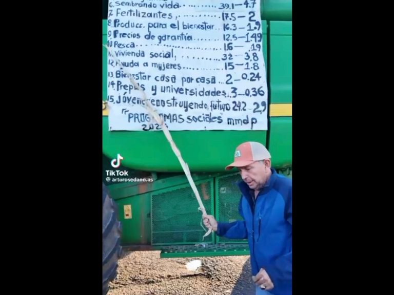 Polish_20251031_101549724