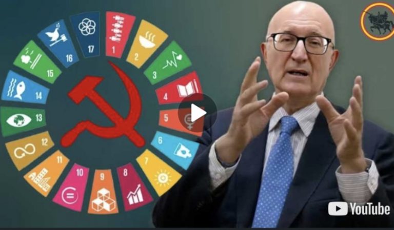 Screenshot_20251019_230925_WhatsApp