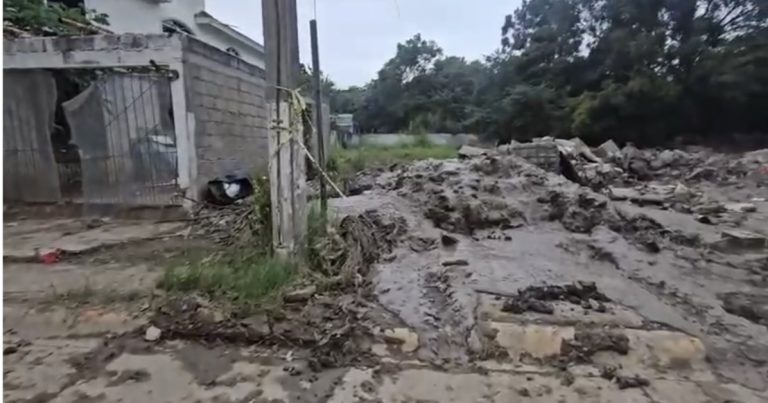 Screenshot_20251031_120335_Chrome