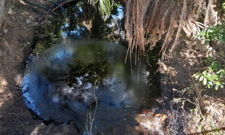 a0b3648f-0baa-475b-9fa1-58b008b57fdc-780x470