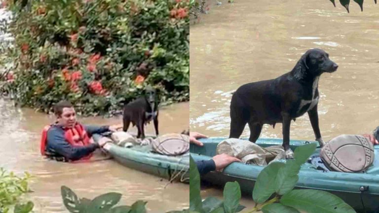 autoridades-rescatan-adulto-mayor-con-su-perro-en-poza-rica