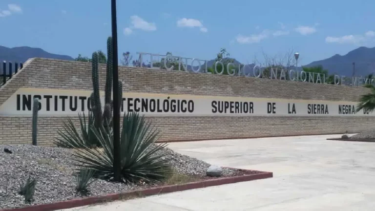 piden-reformar-ley-para-que-directivos-de-tecnologicos-cumplan-con-perfil-academico