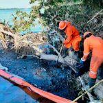 113445251110pemex640