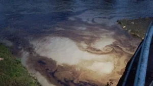 1397744xeu20251129075640