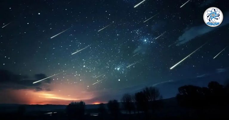 Copia-de-CABECERA-NUEVA-DIMENSION-4-1