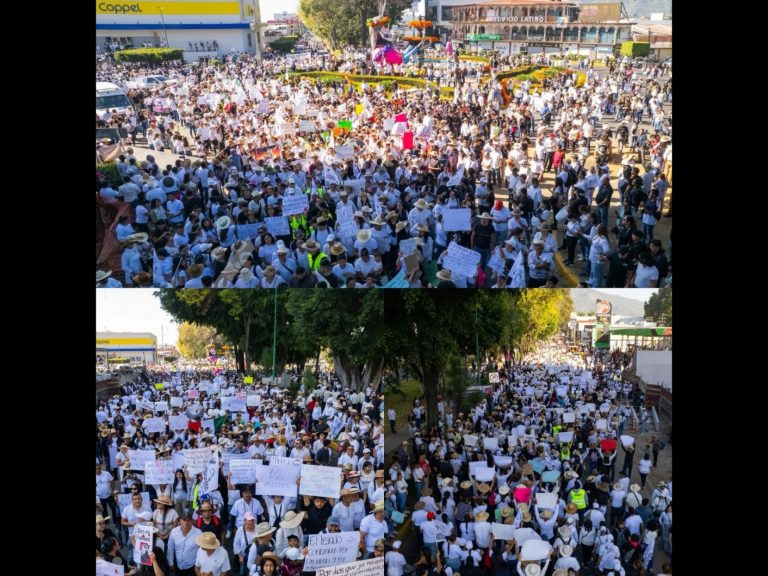 Polish_20251108_094513041