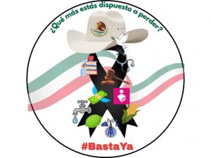 Polish_20251113_093734658