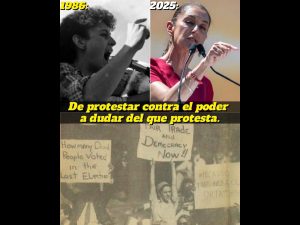 Polish_20251115_092709635