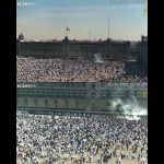 Polish_20251115_142357768