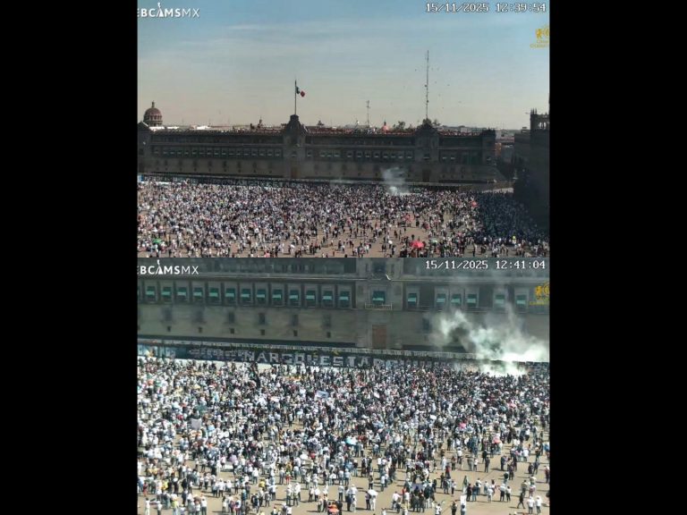 Polish_20251115_142357768