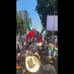 Polish_20251115_181812876