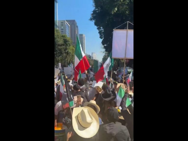 Polish_20251115_181812876