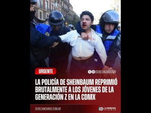 Polish_20251117_091625234