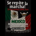 Polish_20251117_130557495