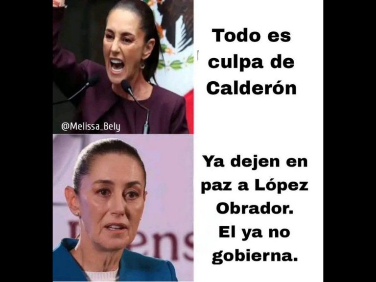 Polish_20251118_093213470