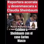 Polish_20251121_102611341