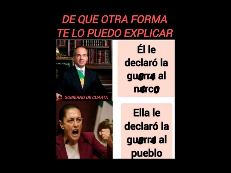 Polish_20251122_093153675