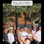 Polish_20251122_152905771