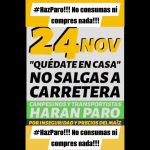 Polish_20251124_101530193