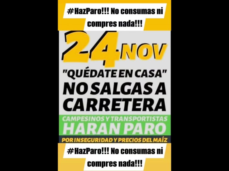 Polish_20251124_101530193