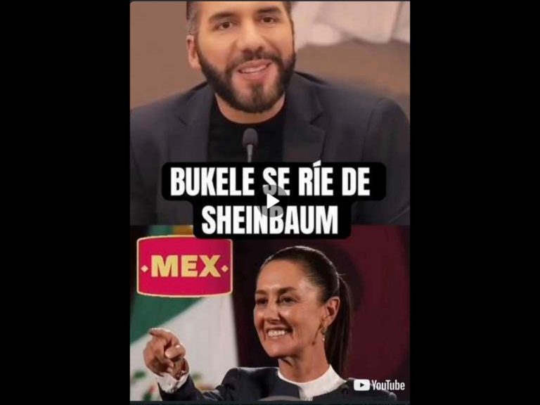 Polish_20251124_103040419