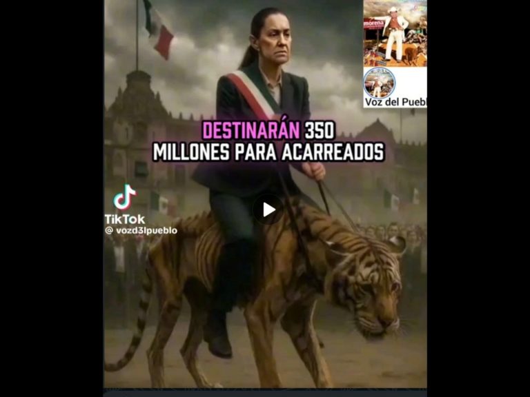 Polish_20251124_161156423