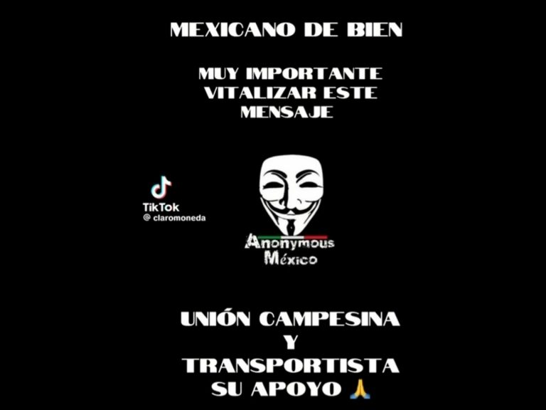 Polish_20251125_121148303