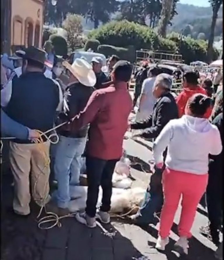 QG2YRFIFPBH3JGBJMCFK3FPQPM