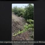 Screenshot_20251106_123200_WhatsApp