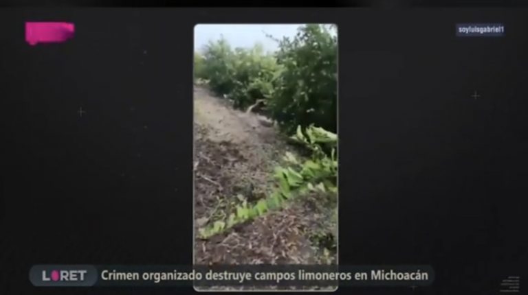 Screenshot_20251106_123200_WhatsApp