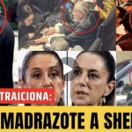 Screenshot_20251108_111043_WhatsApp