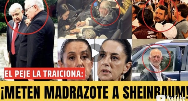 Screenshot_20251108_111043_WhatsApp