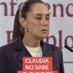 Screenshot_20251111_170927_Gallery