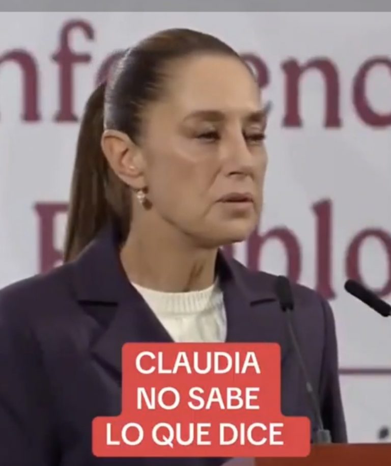 Screenshot_20251111_170927_Gallery