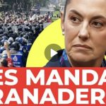 Screenshot_20251121_105745_WhatsApp