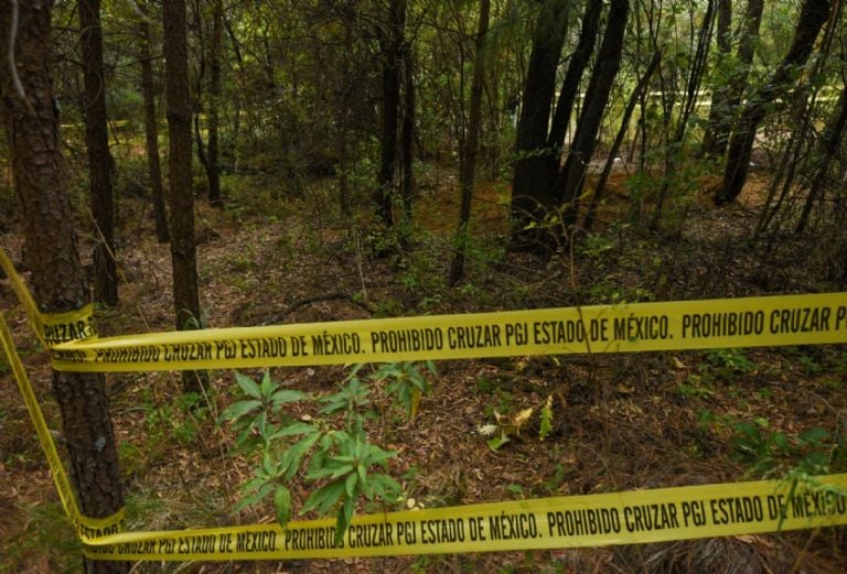 f768x1-808395_808522_5050