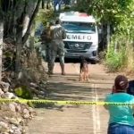 f960x540-130177_204252_5050