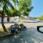 motion_photo_1194764592149351563