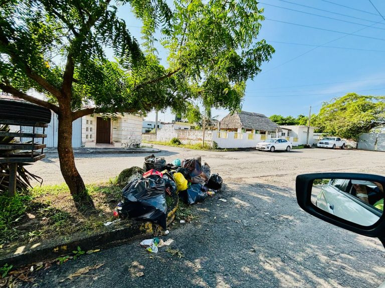 motion_photo_1194764592149351563