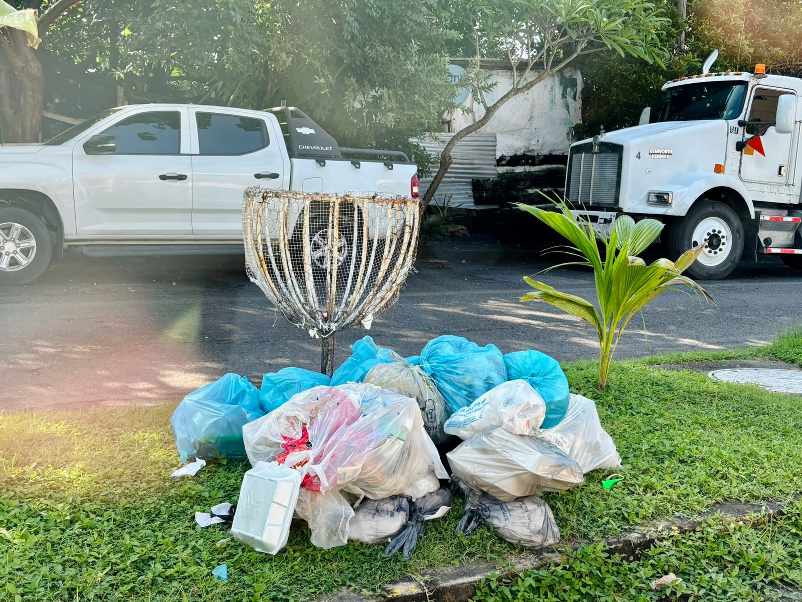 motion_photo_2963477775702214732