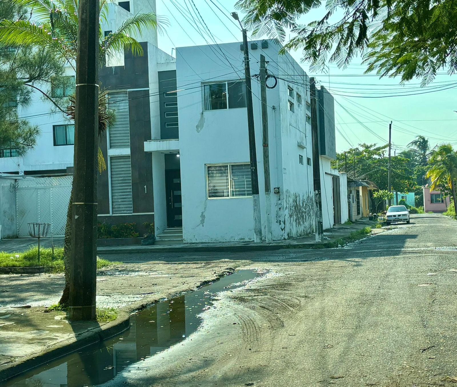 motion_photo_3194637970068979151