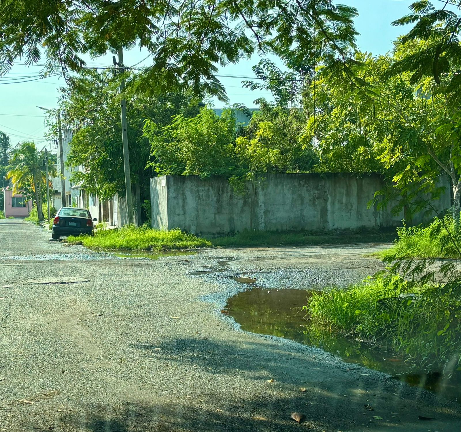 motion_photo_4069853887750378284