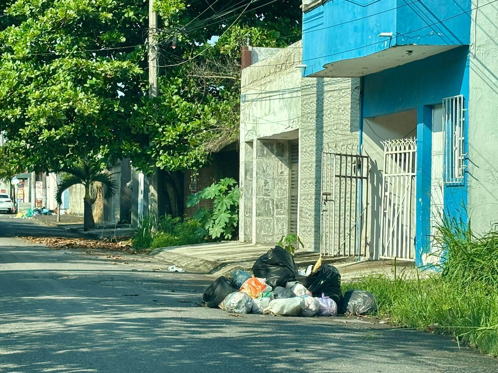 motion_photo_4901963541489227482