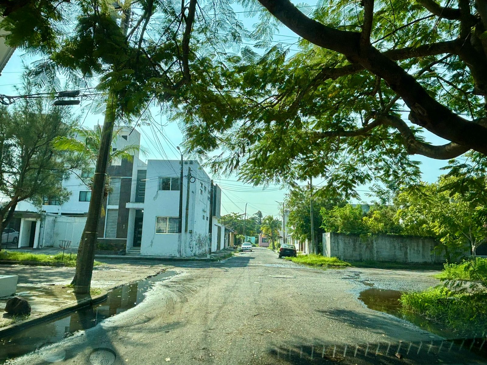 motion_photo_912696832026122727