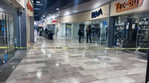 1402858xeu20260112091642